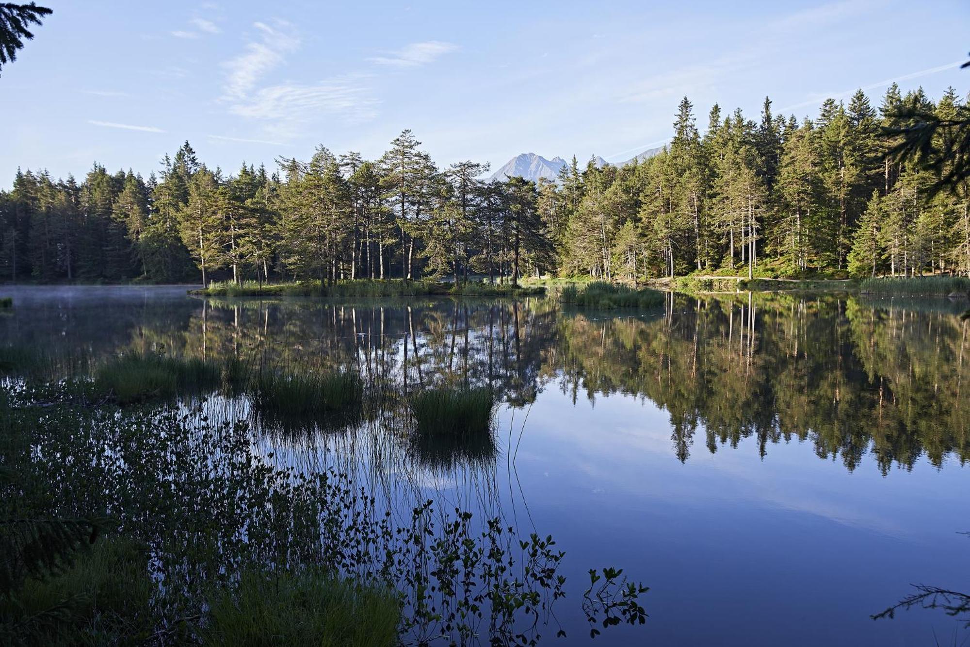 Appartements Landhaus Waidmannsheil Seefeld in Tirol Exteriör bild